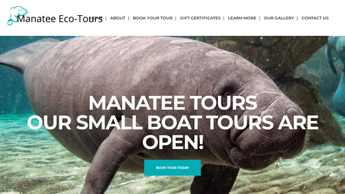 Manatee Sightseeing Eco-Tourism Adventure